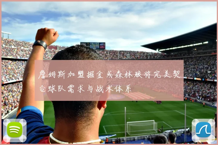 詹姆斯加盟掘金或森林狼将完美契合球队需求与战术体系