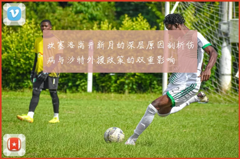坎塞洛离开新月的深层原因剖析伤病与沙特外援政策的双重影响